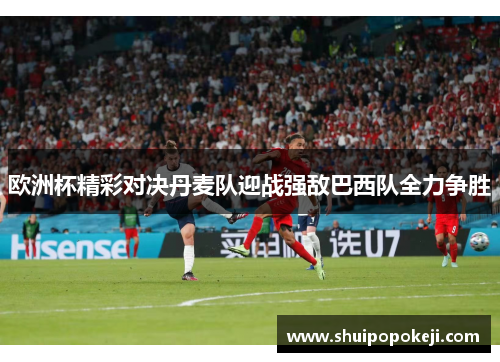 欧洲杯精彩对决丹麦队迎战强敌巴西队全力争胜